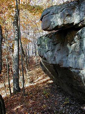 Cumberland Falls