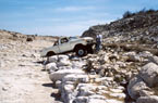 40th Annual Rough Canyon II 2002