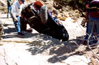 2002 Chile Challenge