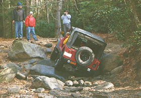 Tellico Trails