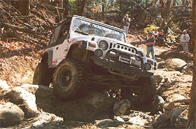 Tellico Trails