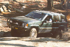 Tellico Trails