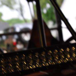 RZR, Rigid Industries, LED