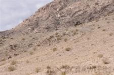 King of the Hammers, 2010