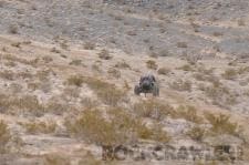 King of the Hammers, 2010