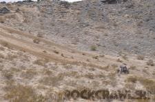 King of the Hammers, 2010