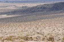 King of the Hammers, 2010