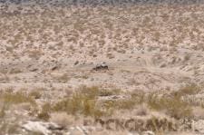 King of the Hammers, 2010