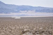 King of the Hammers, 2010