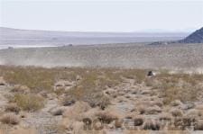 King of the Hammers, 2010