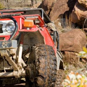 001_roundup_031710