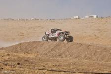0100_stampede_091011