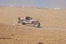 0102_stampede_091011-1