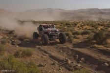 0126_stampede_091011-1