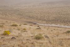 0151_stampede_091011-1