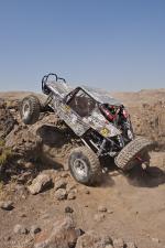 0201_stampede_091011-1