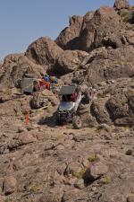 0209_stampede_091011-1