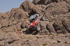0211_stampede_091011-1