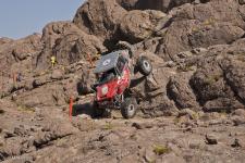 0212_stampede_091011-1